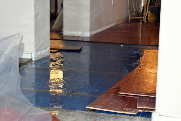 Professional Burst Pipe Cleanup technician working in Cordova, NC